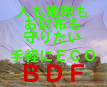 �a�c�e�̔�